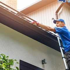 Gutter maintenance Willow Grove, PA · Tuesday, Nov 25 📸