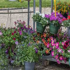 Revitalize Your Outdoor Spaces with Expert Landscaping in Waxhaw