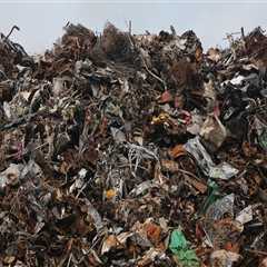 Protect Your Home: Mold Inspection & Furniture Removal Costs