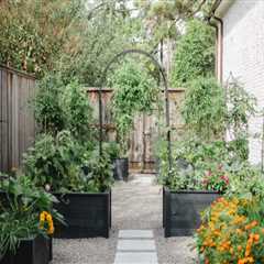 The Landscaping Service Gaps Between Move-Out and Move-In