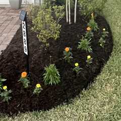 From Tree Care Services to Picture-Perfect Lawns: Professional Sod Installation in Fleming Island,..