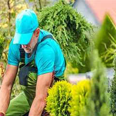 Enhance Your Home with Expert Landscaping and Roof Repairs