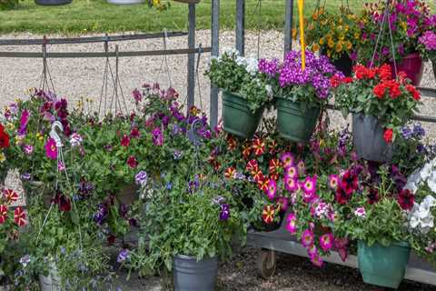 Revitalize Your Outdoor Spaces with Expert Landscaping in Waxhaw