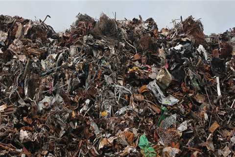 Protect Your Home: Mold Inspection & Furniture Removal Costs