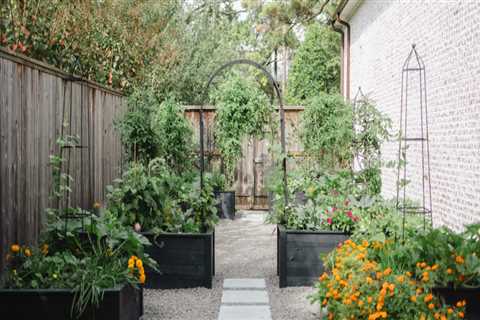 The Landscaping Service Gaps Between Move-Out and Move-In