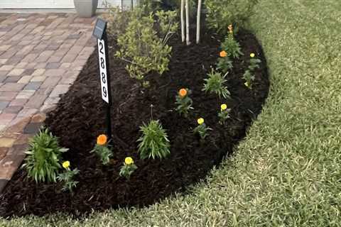 From Tree Care Services to Picture-Perfect Lawns: Professional Sod Installation in Fleming Island,..