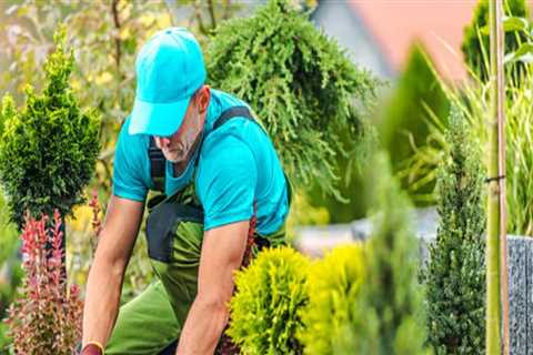 Enhance Your Home with Expert Landscaping and Roof Repairs