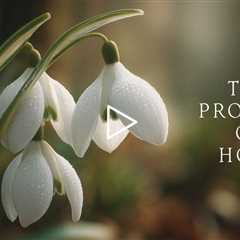 The promise of hope | Piano Playlist