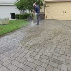 Professional Paver Maintenance Experts