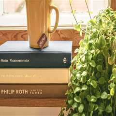 Enhance Comfort with Attic Fans and Jeld-Wen Windows