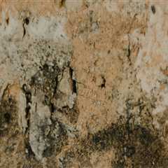 Why Seattle Paving Contractors Need Emergency Water Damage Restoration