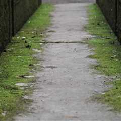 Accurate Land Surveying & Mold Clean Up in Kent