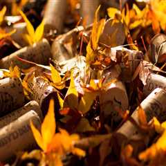 Jacksonville Paver Sealing for Driveways