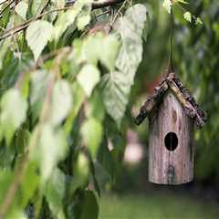 Choose Highly Rated Jacksonville Paver Sealing Services