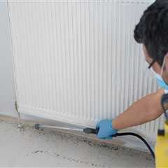 Combat Indoor Pests with Expert Pest Control in Holyoke