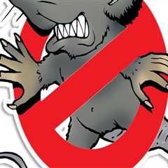 Effective Wildlife Removal and Pest Extermination in Springfield