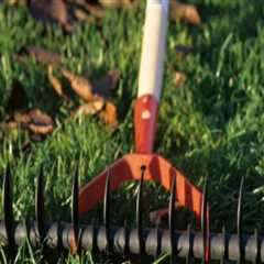 Enhance Your Landscape with Professional Tree Planting