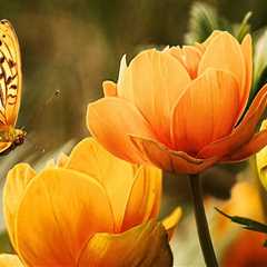 Top Rated Interior Painting Services in Belmont