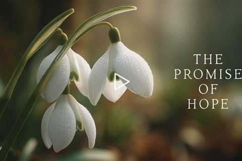 The promise of hope | Piano Playlist