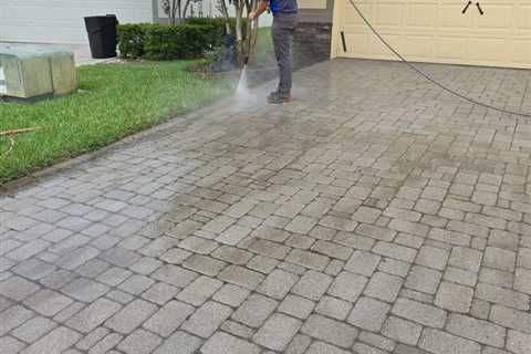 Professional Paver Maintenance Experts
