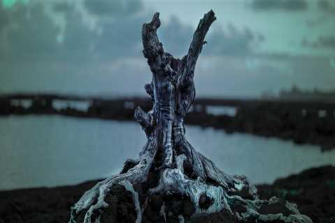 Best Options for Professional Paver Sealing Services