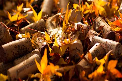 Jacksonville Paver Sealing for Driveways