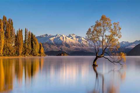 Hiring Top Dee Why Painting Services