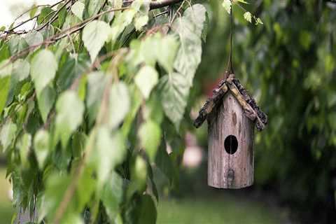 Choose Highly Rated Jacksonville Paver Sealing Services