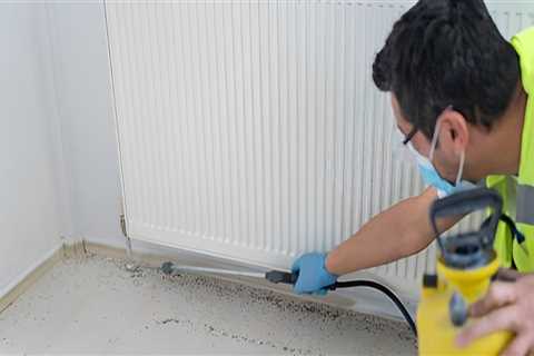 Combat Indoor Pests with Expert Pest Control in Holyoke