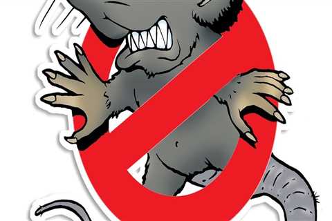 Effective Wildlife Removal and Pest Extermination in Springfield