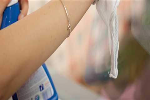 From Sustainable Landscaping Products to Spotless Living: Apartment Cleaning Services in..