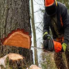 Effective and Affordable Tree Maintenance Strategies for Real Estate Assets