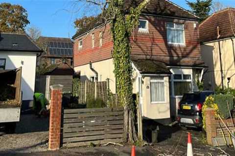 Essential Signs Your Real Estate Assets Need Tree Maintenance