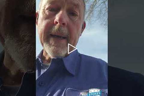 Termite Renewals in the CSRA | Are your bait stations doing their job?