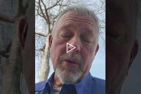 Pine Straw's Little Known Hitchhiker | Roaches in the CSRA