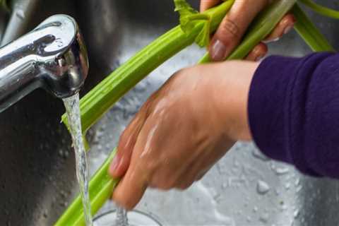 Essential Steps to Shut Off Your Water Supply