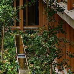 Tree Care Planning for Real Estate Assets and Property Turnovers