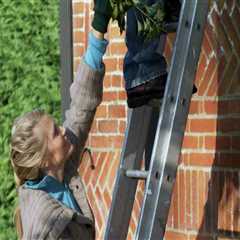 Essential Safety Tips for Using a Ladder While Trimming Trees