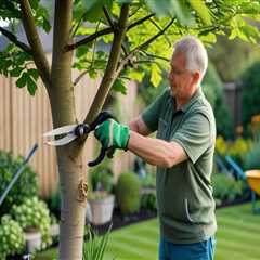 Essential Safety Precautions for Planting New Trees