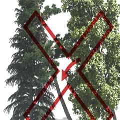 What to Do When You Notice a Leaning Tree: Ensuring Tree Safety