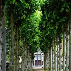 Enhance Your Portland Property with Expert Landscaping