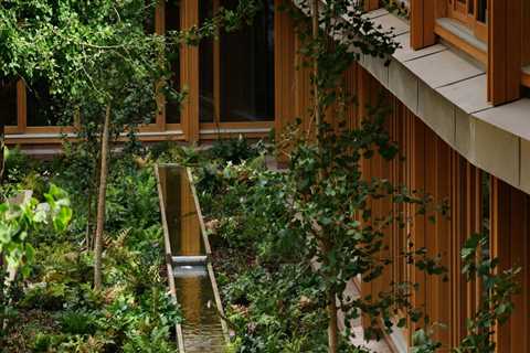 Tree Care Planning for Real Estate Assets and Property Turnovers