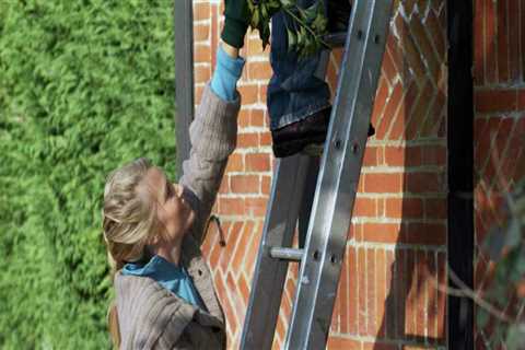 Essential Safety Tips for Using a Ladder While Trimming Trees