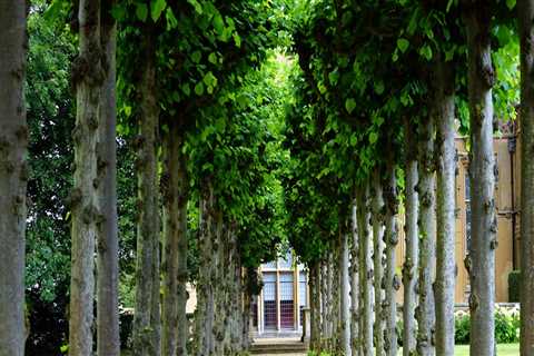 Enhance Your Portland Property with Expert Landscaping