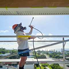 Interior and Exterior Strata Painting in Dee Why NSW: What to Expect - High Wiki