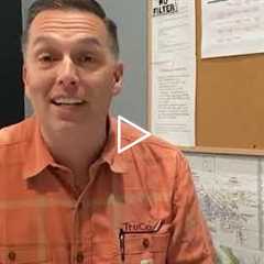 Tree Root Removal Under Concrete