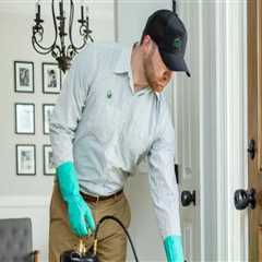 Creating a Clean Start with Indoor Pest Control Before Relocation
