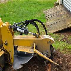 Stump Grinding and Landscape Improvement with Smart Equipment Planning