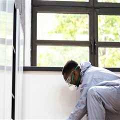 Indoor Pest Control and the Importance of Inspecting Wall and Wiring Spaces