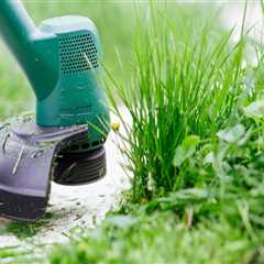 Lawn Care Services Approaches That Complement Electrical Efficiency